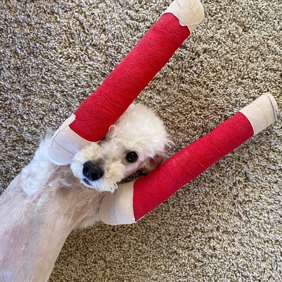 Meet your Posher, Dadctr - Picture 4 of 6